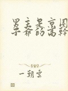 男主是京圈的太子爷的高干文