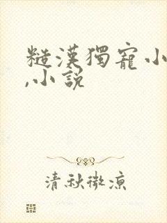 糙汉独宠小娇妻,小说