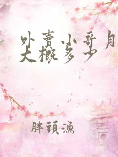 外卖小哥月收入大概多少