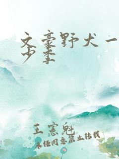 文豪野犬一共多少季