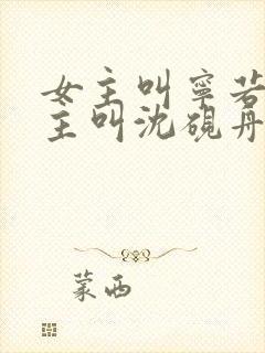 女主叫宁若曦男主叫沈砚舟的小说