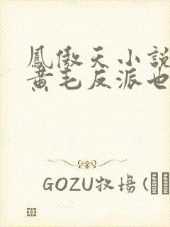凤傲天小说里的黄毛反派也想幸福生活