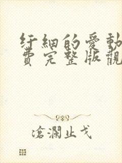 纤细的爱动漫免费完整版观看全集下载