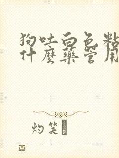 狗吐白色粘液吃什么药管用