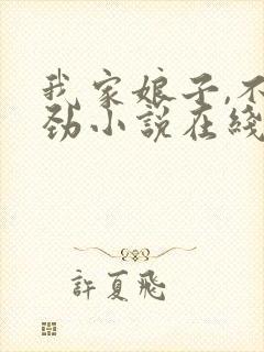 我家娘子,不对劲小说在线免费阅读