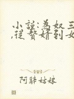 小说:为奴三年,从赘婿到女帝宠臣