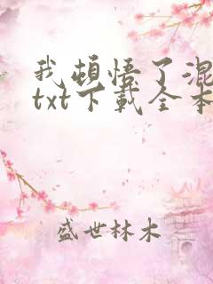 我顿悟了混沌体txt下载全本