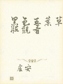 黑色五叶草免费版观看