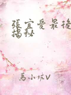 张宜爱最后结局揭秘