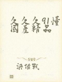 久久久91懂色国产精品