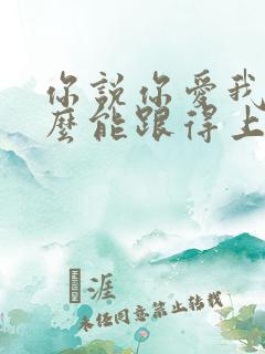 你说你爱我我怎么能跟得上你是什么歌