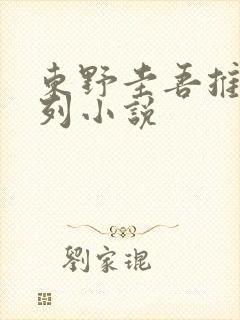 东野圭吾推理系列小说