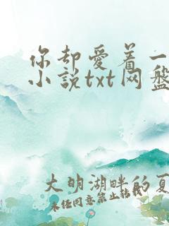 你却爱着一个他小说txt网盘