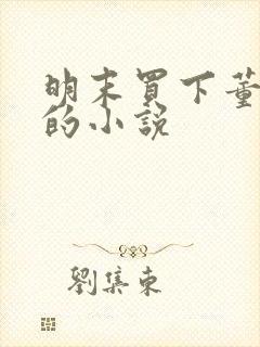 明末买下董小宛的小说