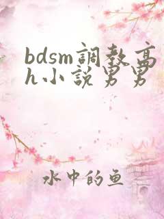 bdsm调教高h小说男男