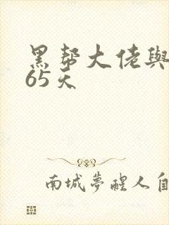 黑帮大佬与我365天