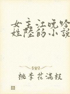 女主江晚吟男主姓陆的小说