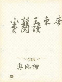 小说王东唐潇免费阅读