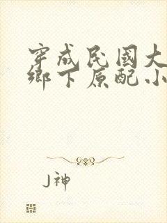 穿成民国大佬的乡下原配小说