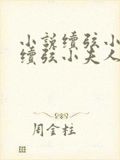 小说续弦小夫人续弦小夫人