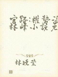 官路:权势滔天林峰小说免费阅读完整版