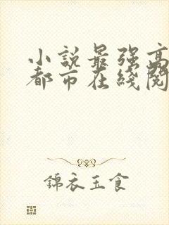 小说最强高手在都市在线阅读