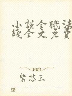 小说全职法师在线全文免费阅读