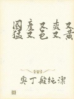 国产又爽又粗又猛又色又黄免费视频