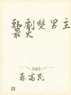 韩剧双男主推荐最火