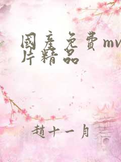 国产免费mv大片精品