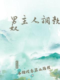 男主人调教男性奴