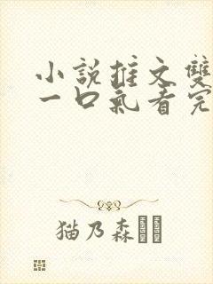 小说推文双男主一口气看完