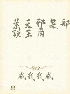 叶天邪是哪部小说主角