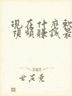 现在什么软件刷视频赚钱最快