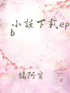 小说下载epub