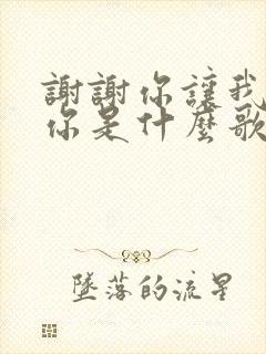 谢谢你让我遇到你是什么歌