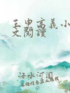 王申高义小说全文阅读