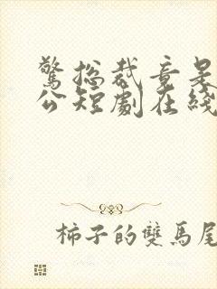 惊总裁竟是我老公短剧在线观看