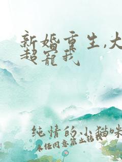 新婚重生,大叔超宠我