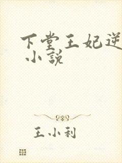 下堂王妃逆袭记 小说