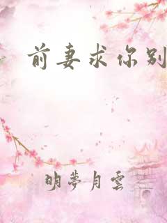 前妻求你别改嫁