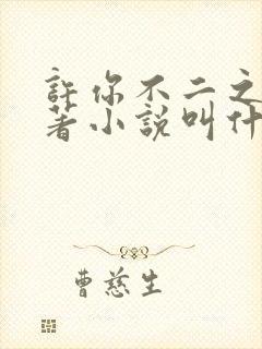 许你不二之臣原著小说叫什么名字