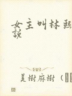 女主叫林熙的小说