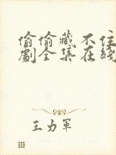 偷偷藏不住电视剧全集在线观看免费