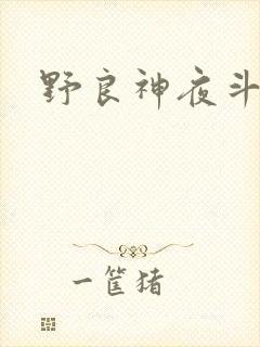 野良神夜斗配音