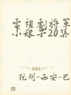 电视剧将军家的小娘子20集至40集