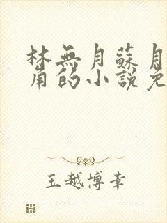 林无月苏月灵主角的小说免费阅读