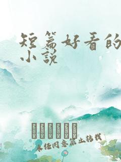短篇好看的言情小说