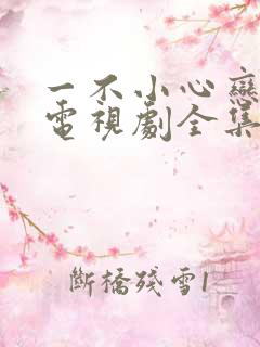 一不小心恋爱了电视剧全集免费观看