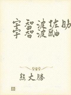 宇智波佐助大战宇智波鼬